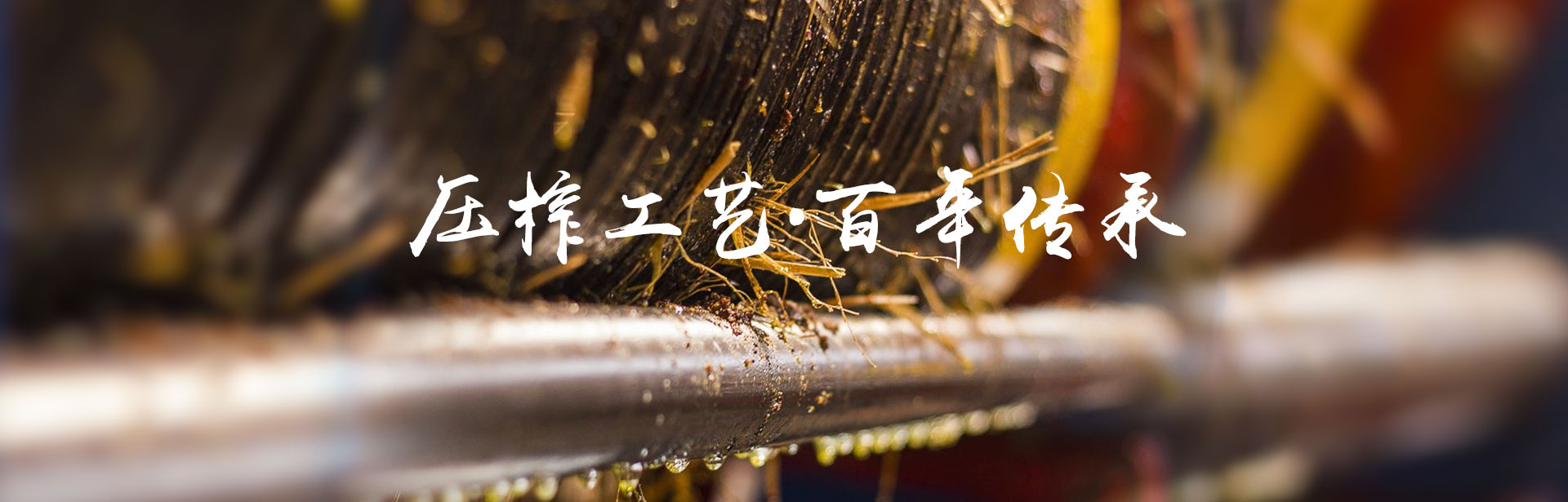 九洲国际_油茶莳植生产加工销售|植物油莳植生产加工销售 九洲国际_油茶莳植生产加工销售|植物油莳植生产加工销售